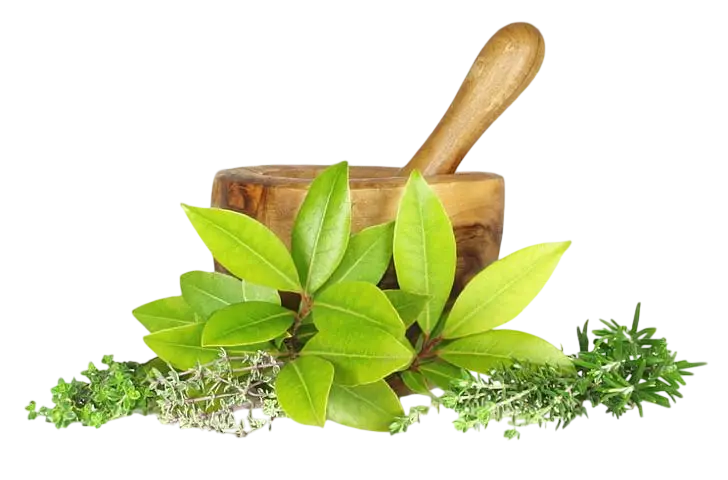 RS Physio & Aarogya Hospital